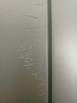 How to fix blistering on paint.