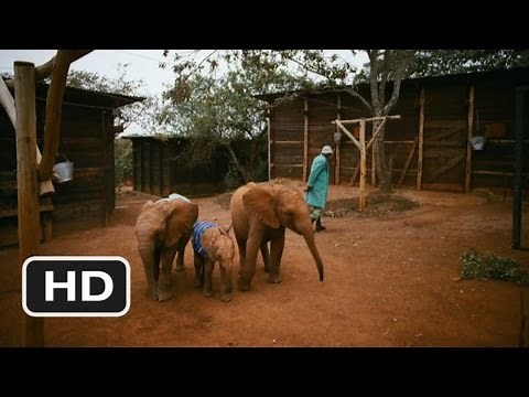 Born to Be Wild #5 Movie CLIP - Elephant Nursery (2011) HD
