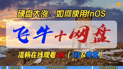 硬盘大涨！如何使用fnOS飞牛 网盘流畅在线观看4K（115&夸克）