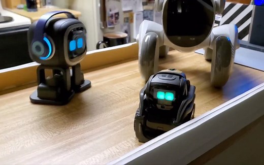 Emo Robot, Vector 和 Loona 机器人介绍