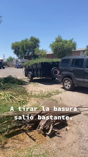 Removing Tree Branches from Residential Areas