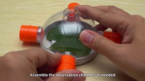 Bug Catcher for Kids – Bug Catching Kit with Modular Bug Maze, Bug Terrarium for Kids, STEM Outdoor Science Toy & Ant Farm for Kids Ages 4–8