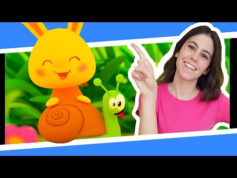 Oh! Small Snail | Titounis' World