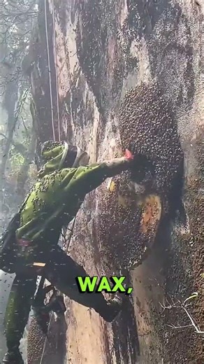 Hidden Truth About Bees That Shocked Everyone! 🐝