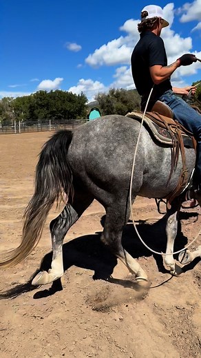 Gettin some reps on this 3yr old with my @smartytraining sled! | Ryder Wright Professional Saddle Bronc Rider