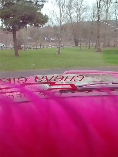 i saw. babies at park #carsoftiktok #disbilitygirl #oregon #park #animals