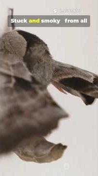 The First Computer Bug 🐛