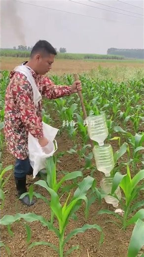 Dive into My Farming Journey: A Real-Life Farming Experience