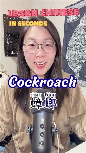 How to say "Cockroach" in Chinese? Basic and Useful Chinese for Beginners #mandarin #chinese