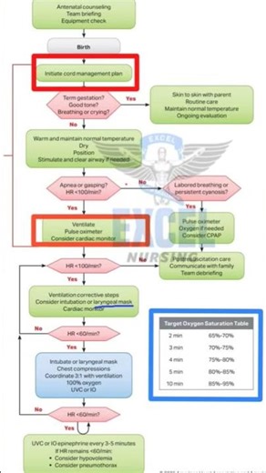 neonatal resuscitation new guideline update 2025#nursing #nursingofficer