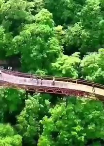 50K views · 9.3K reactions | موسیقی کو روح کی غذا کہنے والو! ذرا #رب کا قرآن سن کر تو دیکھو کتنی روحانیت ہےاس قرآن میں... #سبحان__اللہ 爐 | Fighter News Bannu | Facebook