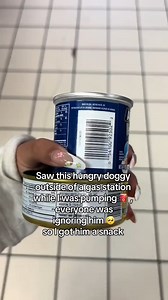 He was gone for eight seconds 🤣🤦‍♂️🚗 #Beagle #Dog #Fail | The Pet Collective