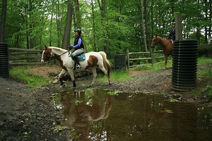 Try Horseback Riding on a Crisp Autumn Day