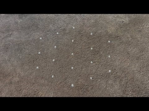 கார்த்திகை தீபம் ஸ்பெஷல் ரங்கோலி#vilakkukolam#deepammuggulu#daily morning rangoli#rangoli#muggulu#