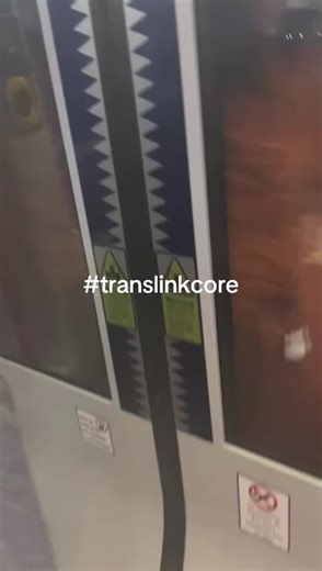 Translink Survivor: Speak Up for Safety