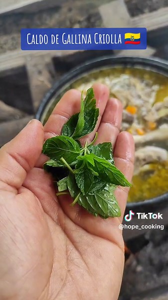 Authentic Ecuadorian Gallina Criolla Soup Recipe