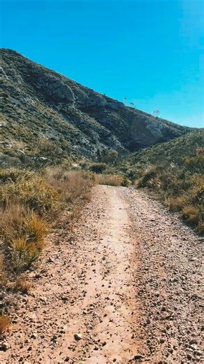 10 comments | . Mitochondria and energy ⚡️ Mitochondria are...