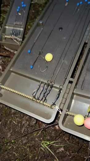 You Need This Compact Carp Fishing Tackle Setup 🎣