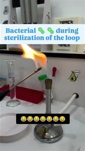 Bacteria Sterilization on Inoculating Loop | Flaming Technique in Microbiology
