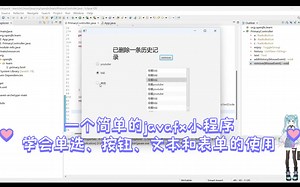 javafx 单选按钮 表单和文本