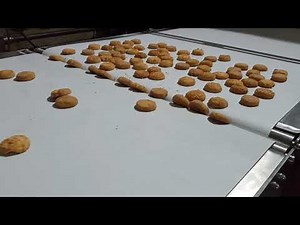 CHICANING CONVYEOR (Automatic Distribution Conveyor) 9702860921