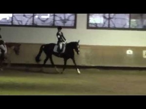 RA 4 Dressur 17. 10. 2014