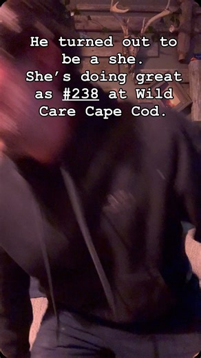 Frankie Valenti/Johnny Hazzard | This little one came into my world at the most perfect time. After giving each other what we needed and helping each other get to our next... | Instagram