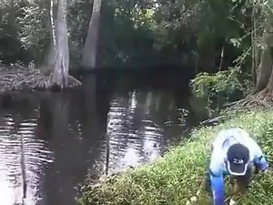 Fishing Europa on Reels