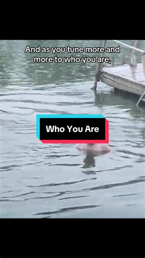 Higher Consciousness and Awakening