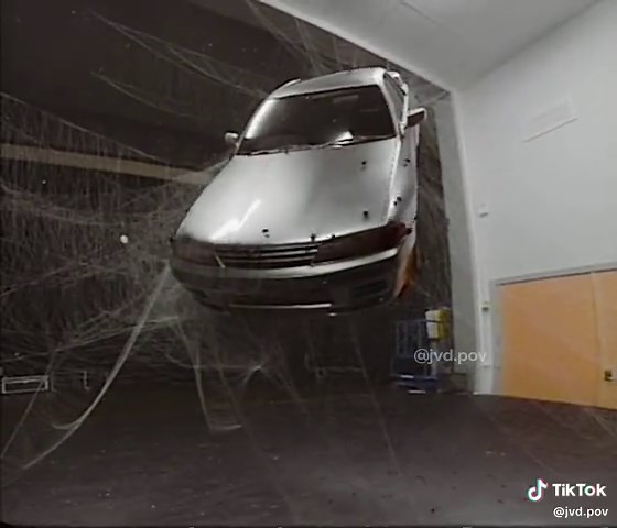 Spiders Seeking the Perfect Parking Spot in 3D