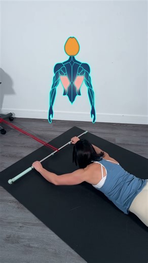 Back Strength & Posture Workout — Bands + Stick Only! 💪🔥