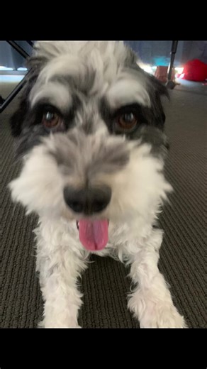 Skye (@skye.chingy)’s videos with original sound - Skye