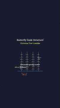 Structural coloration: How butterfly wings create color without pigment using nanostructures