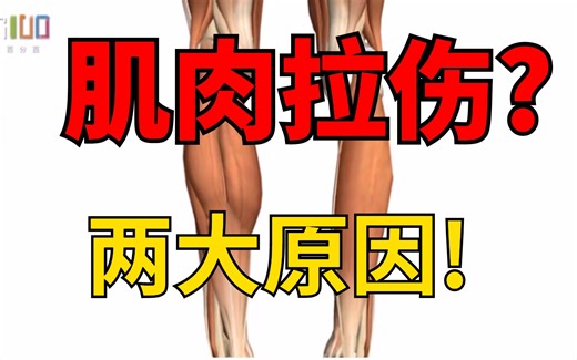 【小腿损伤】肌肉拉伤的两大原因，你避开了吗？