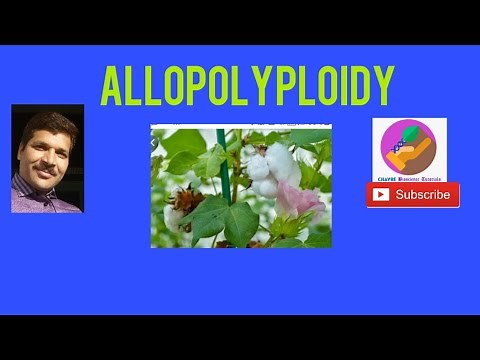 Allopolyploidy