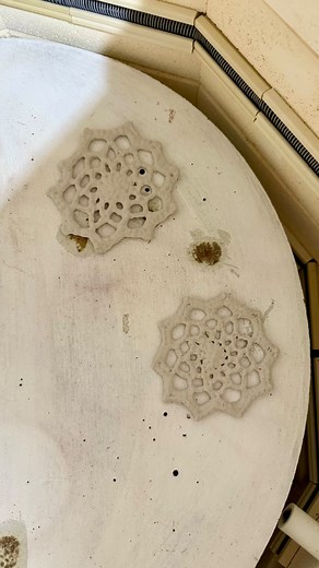 A month ago, @ollybanolly sent me a reel posted by @mender.maker, showing how she turns her knitting into pottery. I was in Connecticut at the time, so I got in touch with @janelle_jz at @turningtimespottery, who I've known for a very long time. She was willing to pitch in with her pottery knowledge, since I know nothing in that realm, and experiment along with me. I picked up some slip (learning new words!) from her studio, dipped and dried some little sample pieces, and she fired them, both of