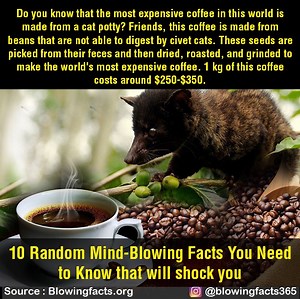 1.5M views · 10K reactions | 10 Random Mind-Blowing Facts Will SHow You EP-13 | Facts that will blow your mind | Facebook