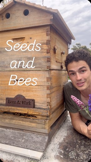 The Beekeepers Garden on Instagram: "Planting a Flower Meadow for My Bees 🌸🐝 Today I’m planting a Bee Haven flower meadow to give my bees more food and help keep the garden buzzing. This mix from @nestyboxes grows into beautiful colours and helps support healthy hives. This pack is low maintenance and high pollinating results! Small actions make a big difference 🐝💛 #TheBeekeepersGarden #BeeHaven #FlowerMeadow #PollinatorGarden #BeeFriendly #Wildflowers #GardeningAustralia #BackyardBeekeeping