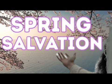 Spring Renewal Through Gods Word