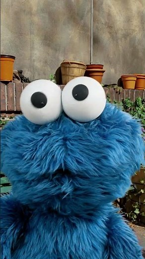 Baby Cookie Monster Eats a Cookie #sesamestreet