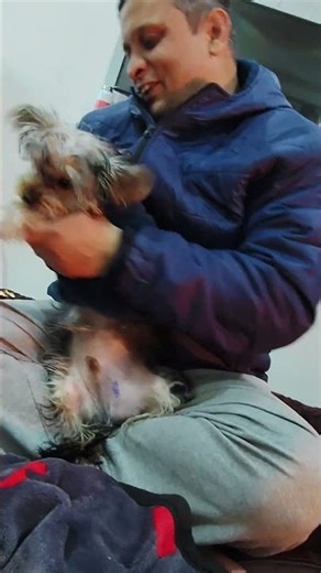 candy Dance with Bheem #dog #pets #cute #funny