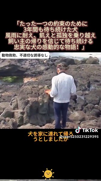 「たった一つの約束のために、3年間も待ち続けた犬。風雨に耐え、飢えと孤独を乗り越え、飼い主の帰りを信じて待ち続ける忠実な犬の感動的な物語！」 #忠実な犬 #3年間待つ #犬の物語 #飼い主との約束 #感動の話 #動物の忠誠心 #待ち続ける犬 #絶食の抗議 #ペットの忠誠 #犬の愛 #動物救助 #感動的な物語 #ペット病院 #家族の絆 #tiktok #fyp
