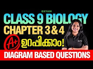 Class 9 Biology - Chapter 3 & 4 A+ ഉറപ്പിക്കാം - Diagram Based Questions | Xylem Class 9