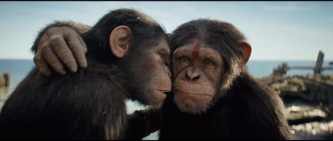 „Planet der Affen: New Kingdom“-Kritik: Der untypische Sci-Fi-Action-Blockbuster ist endlich zurück