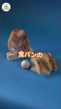 【裏ワザ】洗剤不要！余った食パンでタッパーの嫌な臭いを消す方法 🍞