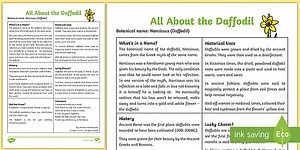 All About the Daffodil Fact Sheet