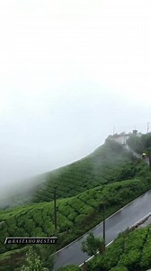 2.4K views · 160 reactions | Mesmerizing beauty of nature at Munnar...