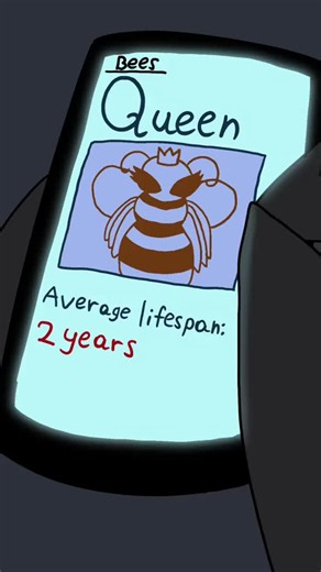 Queen Bee Animation: Don’t Give Up — Sad Bee Story