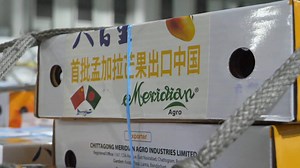 24K views · 264 reactions | A shipment of three tonnes of fresh mangoes from Bangladesh arrived in Changsha, central China's Hunan Province, on Wednesday night, marking China's first import of mangoes from Bangladesh. #mango #import #China | China Xinhua News | Facebook