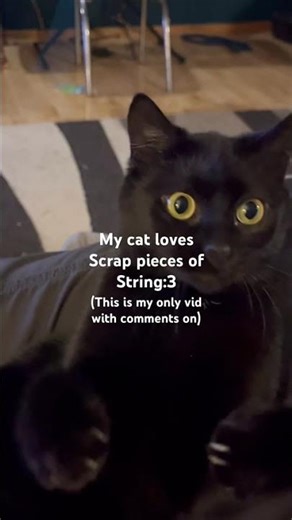 My cat loves playing with scrap pieces of string:3 #cat #string